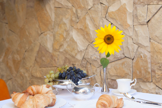 Garden Spa Boutique Hotel - photo 5
