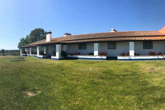 Monte da Oliveirinha Country House - photo 5