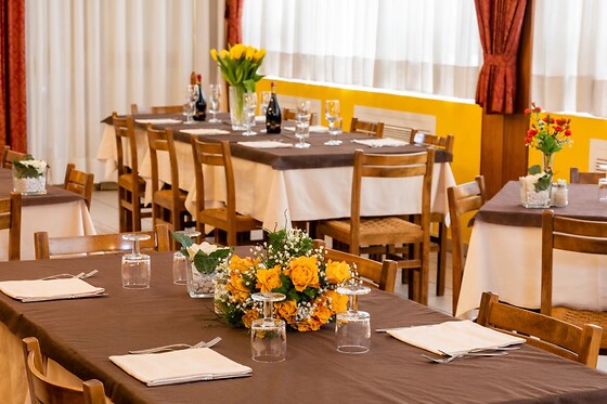 Hotel Colonna - photo 5
