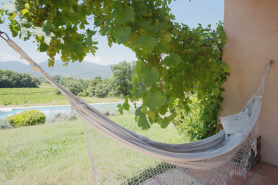 Les Figuiers - photo 11