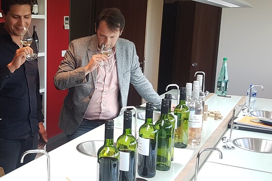 LSDA Vin de France - photo 0