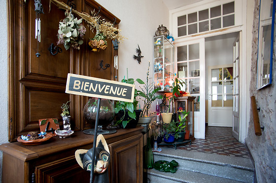 La Salsepareille - photo 12