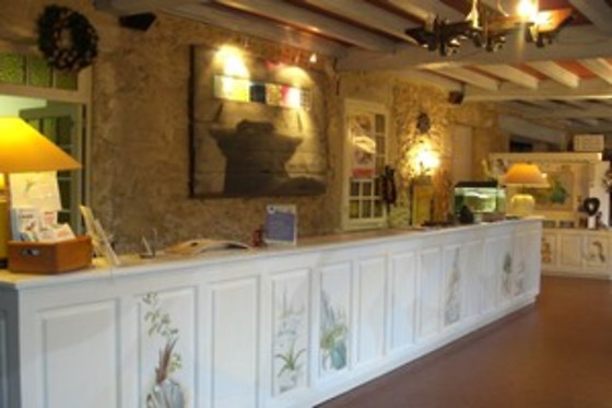 Hotel Restaurant des Thermes - photo 3