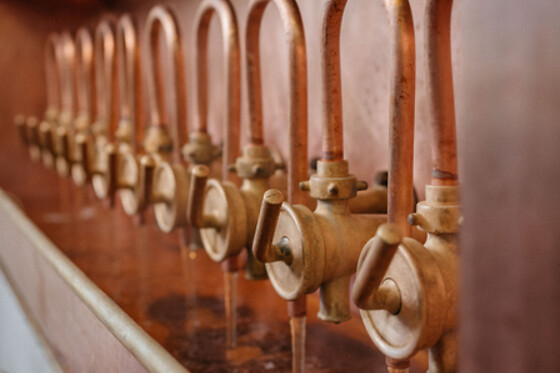 Brasserie Timmermans - photo 17