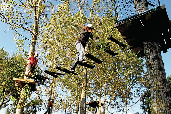 ANIGAMI AVENTURA - photo 12