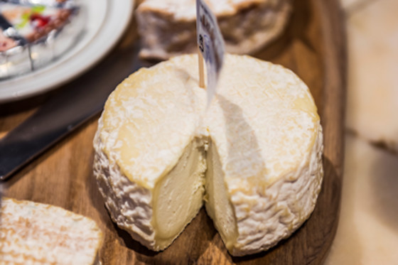 In den Bonten Os - photo 21