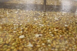 Brasserie des Trévires