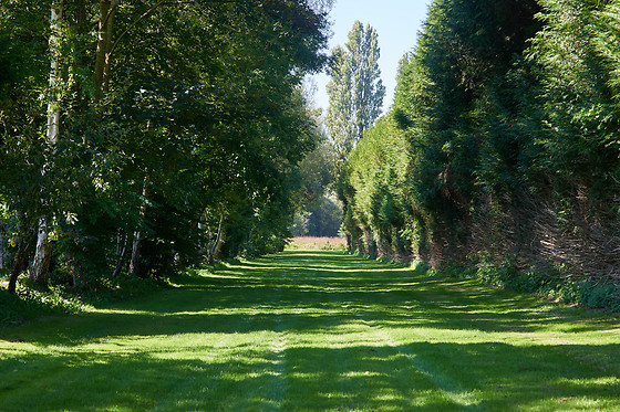 Domaine de la Hurel - photo 19