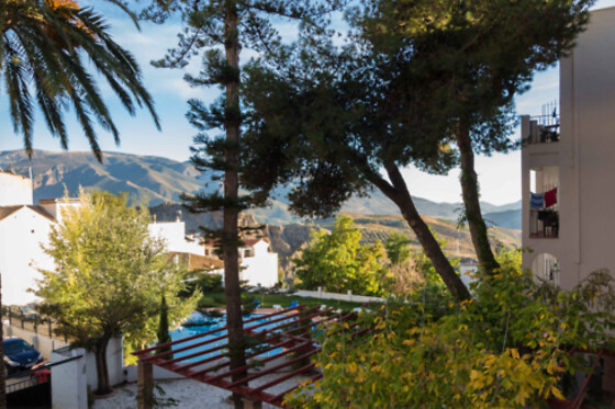 HOTEL ANDALUCIA DE LANJARON - photo 22