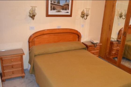 HOTEL ANDALUCIA DE LANJARON - photo 17