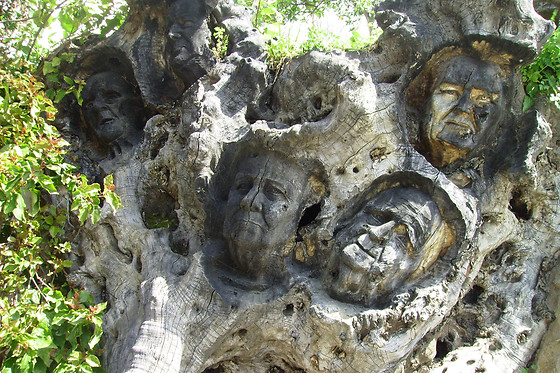 LA POSADA DEL RECOVERO - photo 3