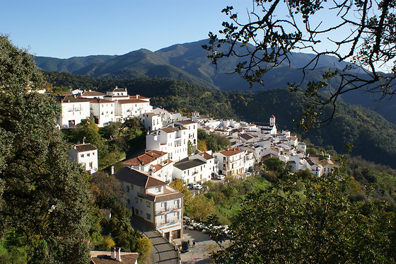 LA POSADA DEL RECOVERO - photo 8