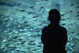 Aquarium de Paris