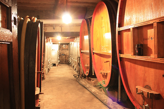 Domaine André Blanck et ses fils - photo 10