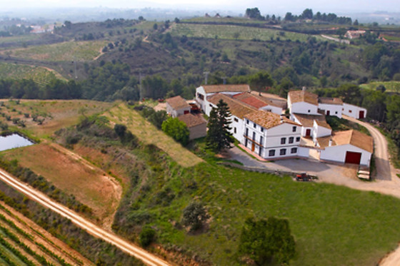 BODEGA MIQUEL JANÉ - photo 5