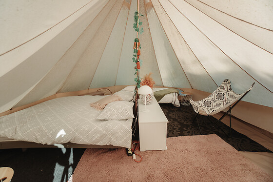 De Witte Merel & Hotel at home - photo 7