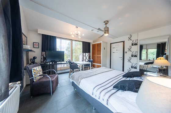 De Witte Merel & Hotel at home - photo 16