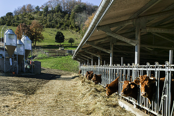 Domaine de la Trille - photo 3