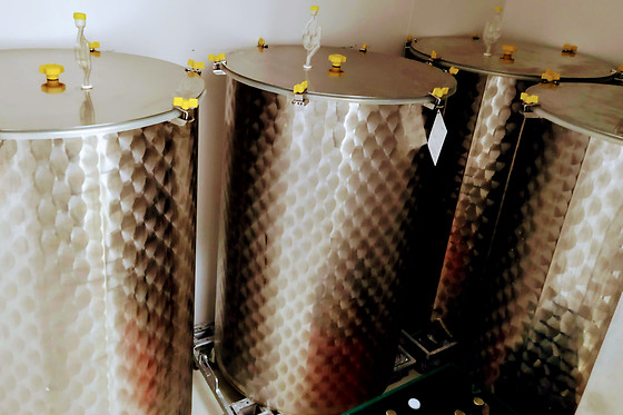 Brasserie Monalixa - photo 8