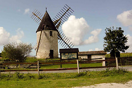 Aliénor