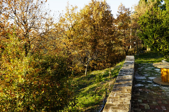 Agriturismo Sorgente di Luna - photo 8