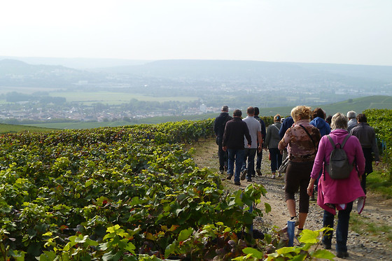 Sentier du Vigneron - photo 3
