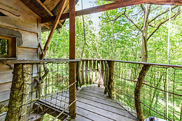 L'Arbre à Cabane