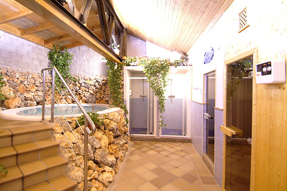HOTEL PALACIO DE OÑATE SPA - photo 34