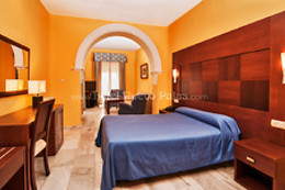 HOTEL NUEVO PALAS