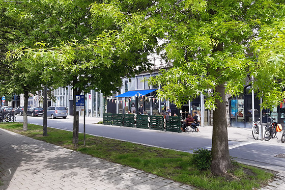Cabardouche - photo 6