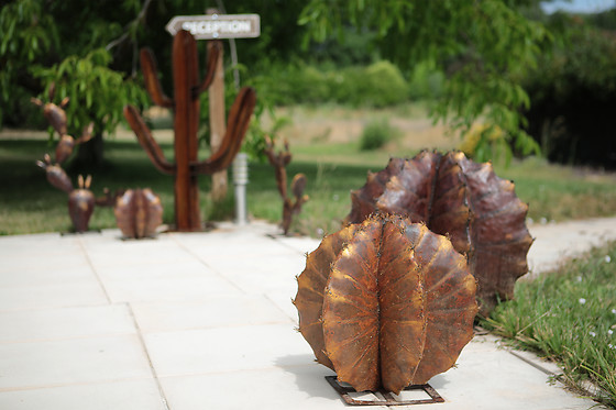Dejeunez Sous L'arbre - photo 5