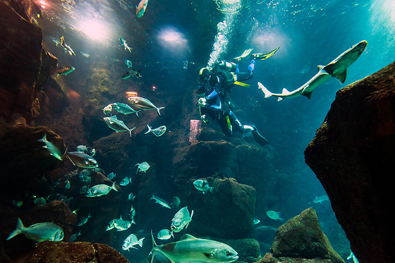 MADEIRA NATURE EXPERIENCE - photo 0