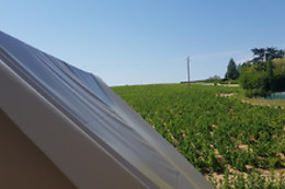 La Grappe Fleurie