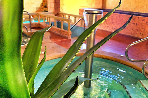 LOHEGA BALNEARIO URBANO - photo 1