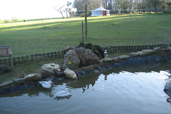 Ker'Ânes'Duic - photo 14