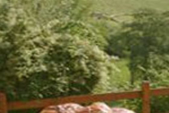 Le relais du colombier - photo 22