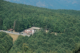 Hotel Le Macinaie