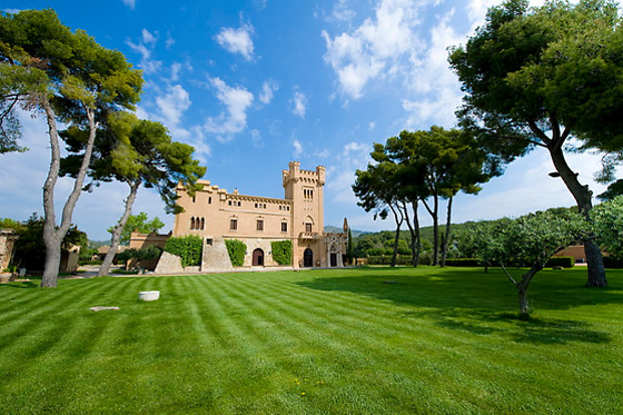 BODEGAS TORRE DEL VEGUER - photo 0