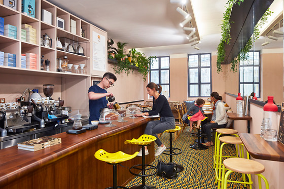 Terres de Café - photo 4