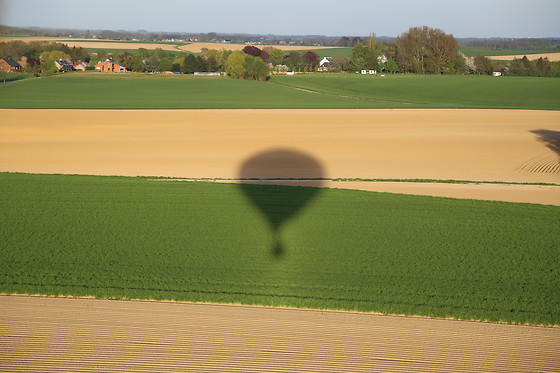 Pearl Balloon - photo 12