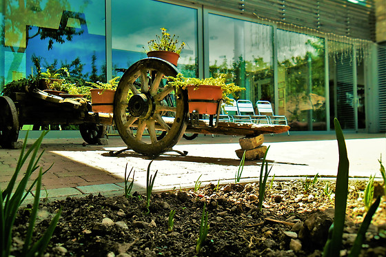 Agritur Leita - photo 0