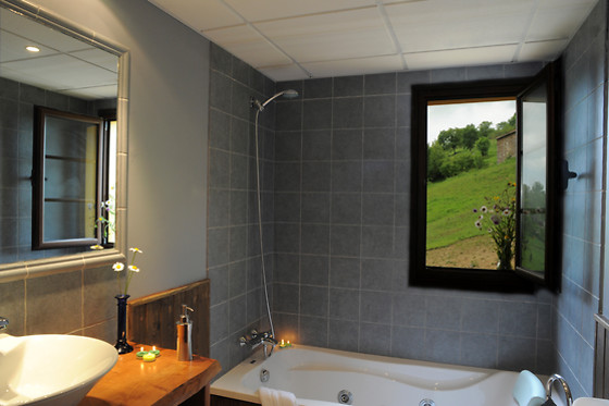 HOTEL EL QUESAR GAMONEU - photo 3