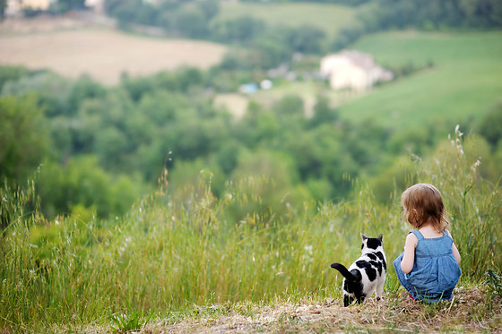 Le Petit Liou - photo 1