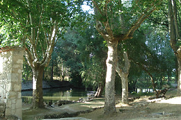 EL RINCON DEL LABRADOR