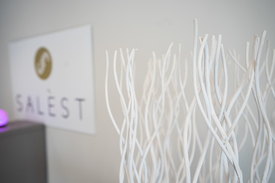 Salèst - photo 3