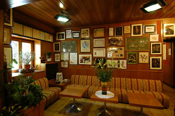 Albergo Ristorante Bar Sichi - photo 1