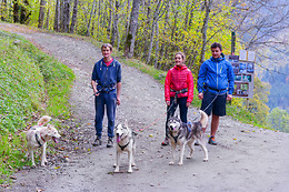 Elevage canin du clos de la vallée blanche