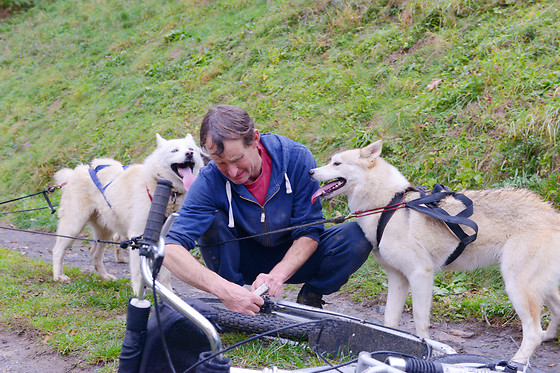 Elevage canin du clos de la vallée blanche - photo 6