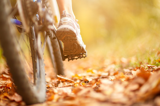 EL TRASGU LA FRONDA - photo 21