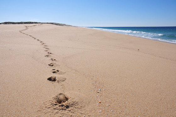 IBERIC FUSION PLATJA - photo 1